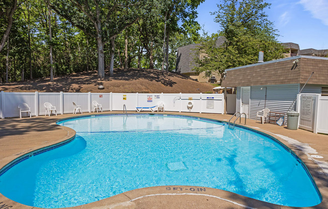 our resort style swimming pool is in front of our house with trees