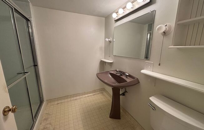 Great University Area Home!