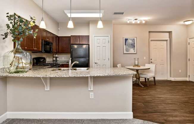 First and Main Apartments granite countertops