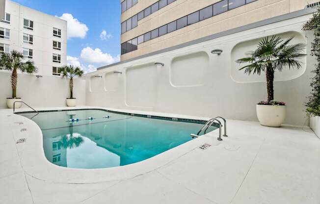 Welcome to The Palms on Main Apartments in Downtown Columbia