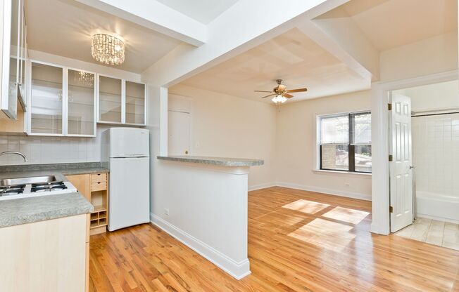 Studio, 1 bath, $1,250, Unit 209