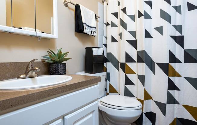 a bathroom with a sink and a toilet and a shower