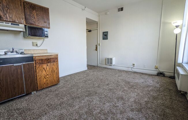 Studio, 1 bath, 200 sqft, $460, Unit 321