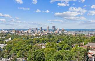 A cityscape with a mix of residential and commercial buildings, surrounded by lush green trees.