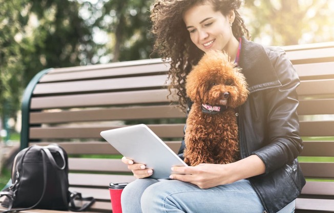 dog in park at Madison House, Washington