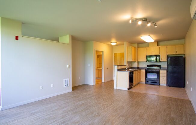 2 WEEKS FREE! Spacious Urban 1 Bed Flat - North Portland Near N. Mississippi & Alberta!