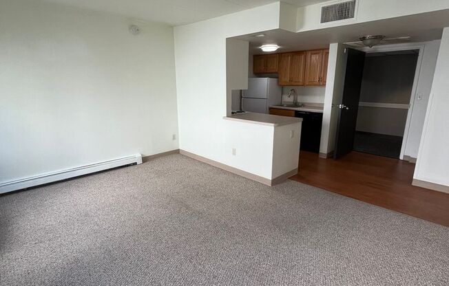 1 bed, 1 bath, 750 sqft, $1,095, Unit 203E