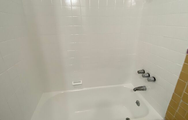 Studio, 1 bath, 362 sqft, $1,595