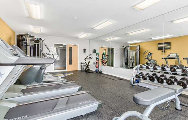 A gym with treadmills, weights, and exercise equipment.