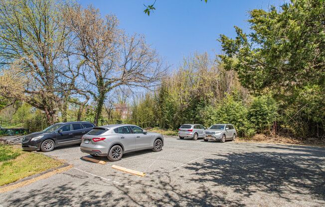 Studio, 1 bath, 368 sqft, $1,595, Unit 111