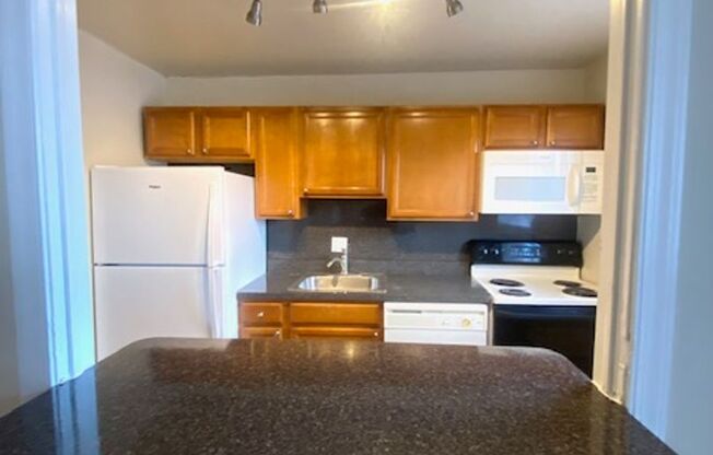 1 bed, 1 bath, 625 sqft, $1,270, Unit D09