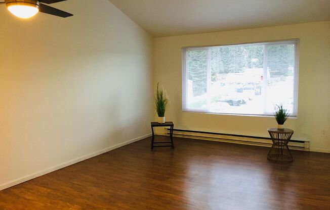 1 bed, 1 bath, 700 sqft, $1,800, Unit 331