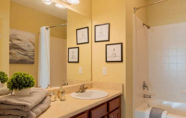 Master Bathroom at Stone Ridge Apartment Homes, Alabama