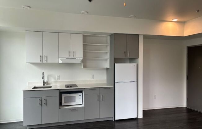 1 bed, 1 bath, 386 sqft, $1,450, Unit 407