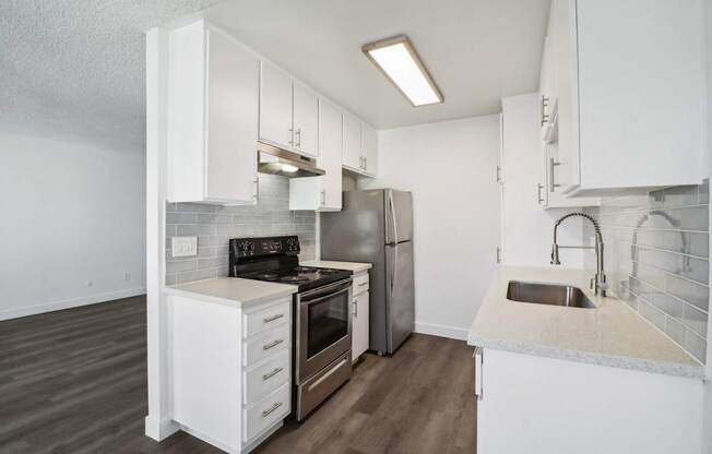 Palms in San Diego, CA