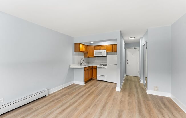 Studio, 1 bath, 298 sqft, $1,395, Unit 234