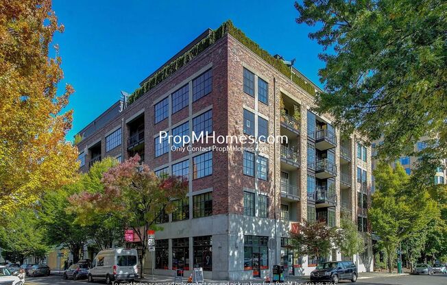 Vibrant One Bedroom Loft w/ City Views In The Heart of The Pearl!