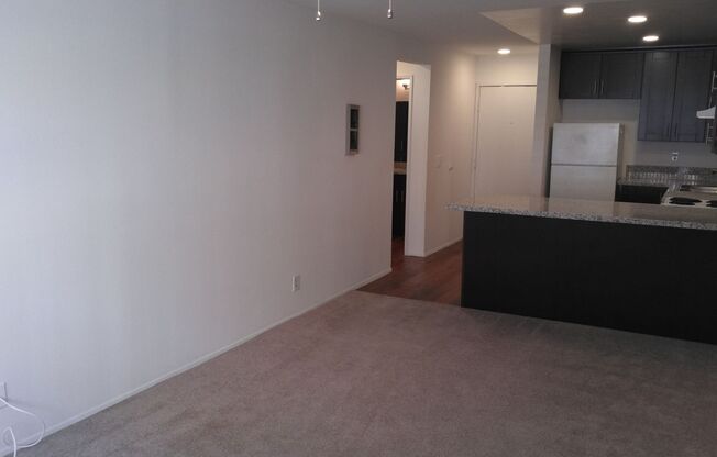 1 bed, 1 bath, 500 sqft, $1,995, Unit 105