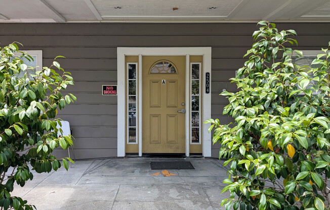 2504 Dana Street