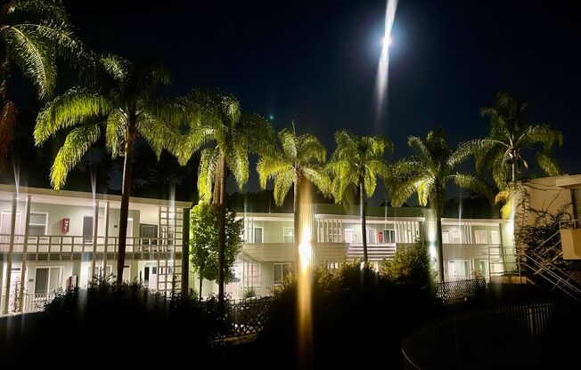 Studio, 1 bath, 228 sqft, $1,550, Unit 0134-40