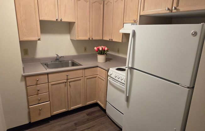 1 bed, 1 bath, 447 sqft, $1,590, Unit 509