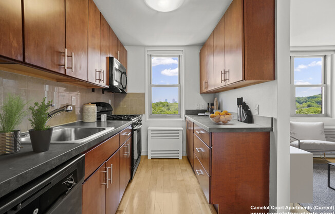 11 CAMELOT CT