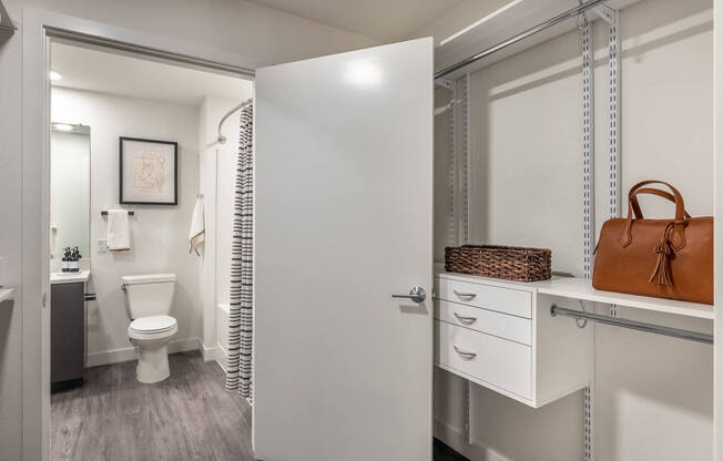 1 Bedroom Model Walk-Through Closet