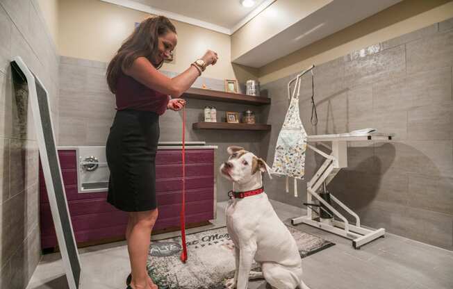 Pet Spa at Palms at Magnolia Park in Riverview, FL