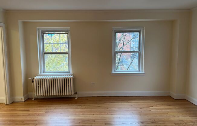 Studio, 1 bath, 301 sqft, $1,425, Unit Wellington 209