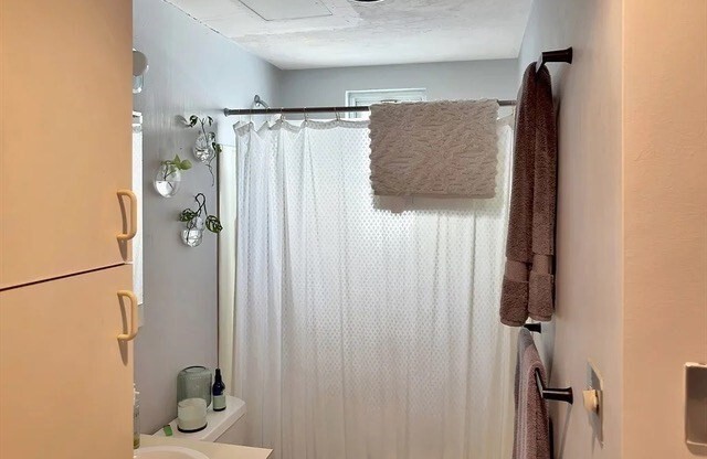 1 bed, 1 bath, 750 sqft, $1,900, Unit 1