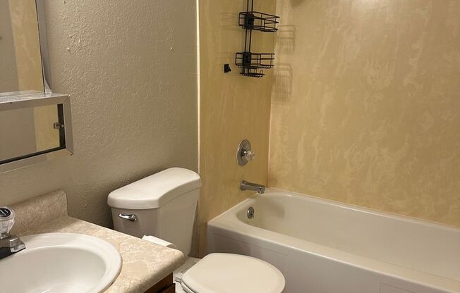 Studio, 1 bath, 500 sqft, $895, Unit 11