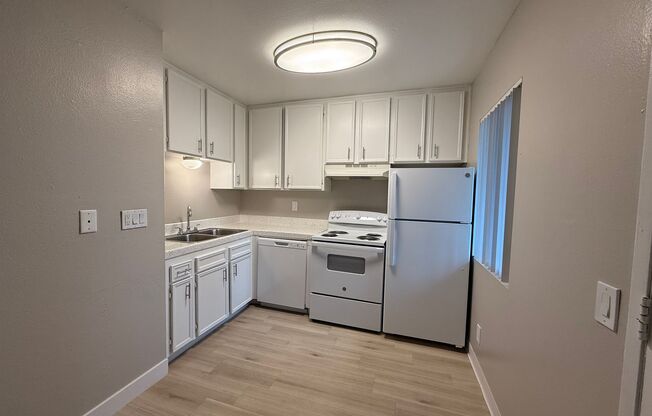 1 bed, 1 bath, 436 sqft, $1,795, Unit 66