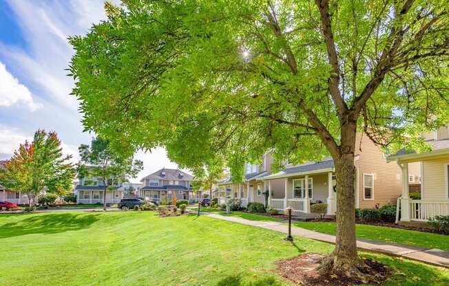 a tree in the middle of a lawn in front of houses