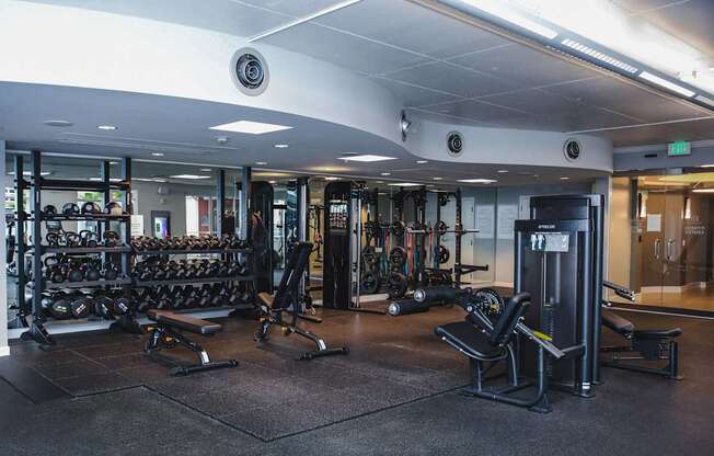 a workout room with weights and cardio equipment in a gym on a cruise ship