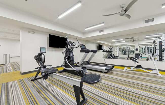 A gym with a variety of equipment including treadmills, weights, and a television.