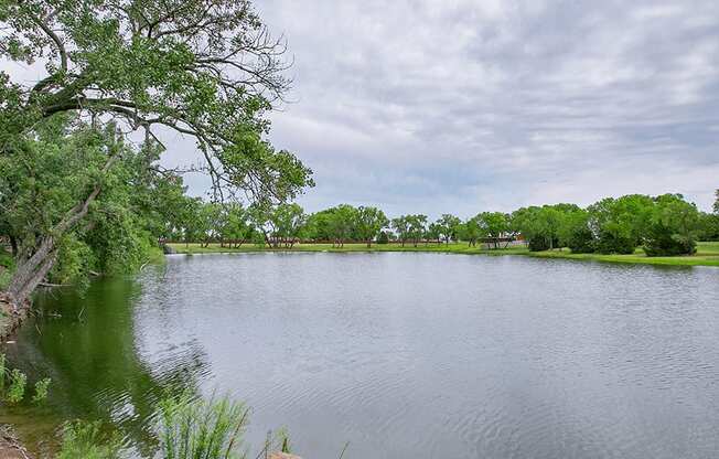 Beautiful View of pond