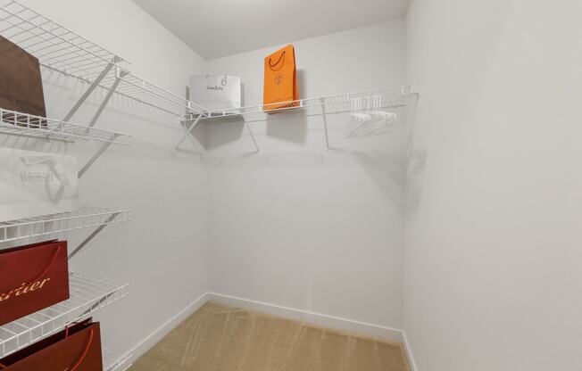 Large Closet View at Wentworth Apartment Homes, North Bethesda, 20852