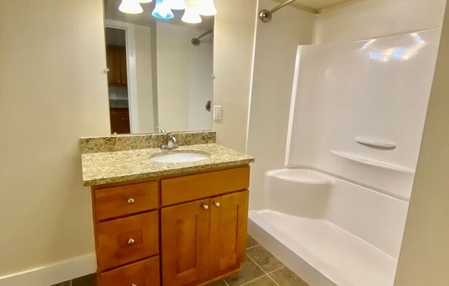 Studio, 1 bath, 393 sqft, $1,445, Unit 113