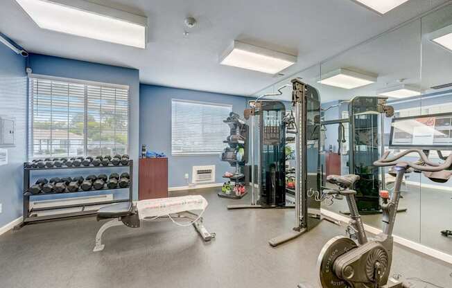 the gym at the preserve at green valley apartments