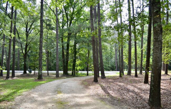 Rare Find: 5-Acre Retreat For Rent in Prime Auburn Location