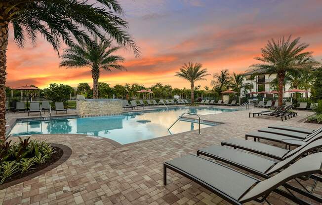 Swimming pool at Palm Ranch Apartments in Davie, FL