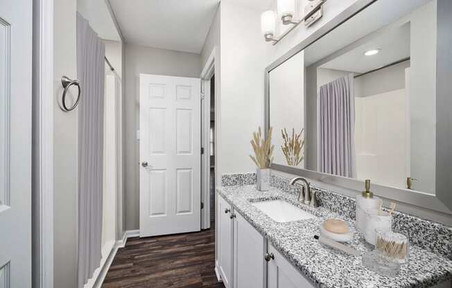 a bathroom with a sink and a mirror