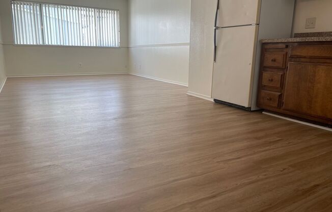 Studio, 1 bath, 450 sqft, $1,100, Unit 305