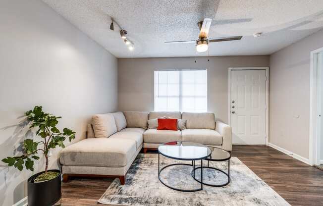 a living room with a couch and a coffee table