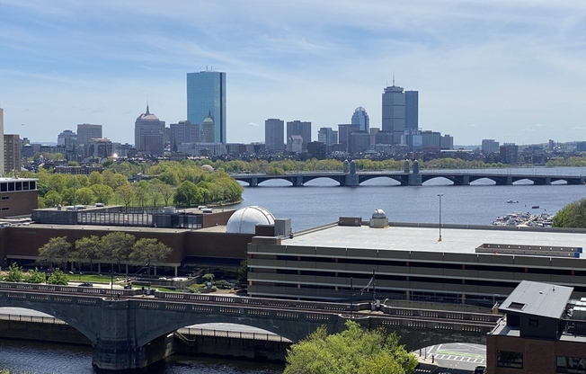 1 bed, 1 bath, 807 sqft, $3,599, Unit 1523