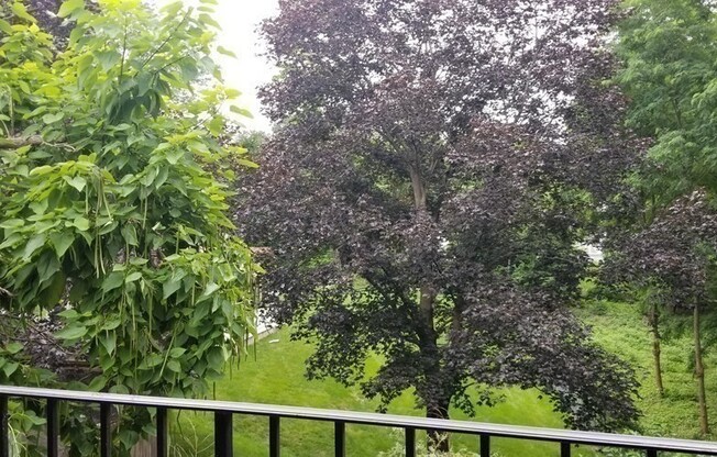2 beds, 2 baths, 1,060 sqft, $2,800, Unit 32C