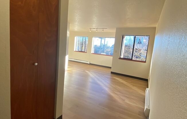 Studio, 1 bath, 538 sqft, $1,425, Unit 405