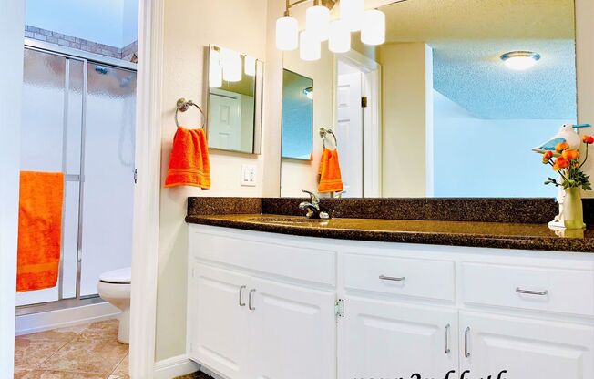 1 bed, 2 baths, 1,000 sqft, $3,675, Unit 317