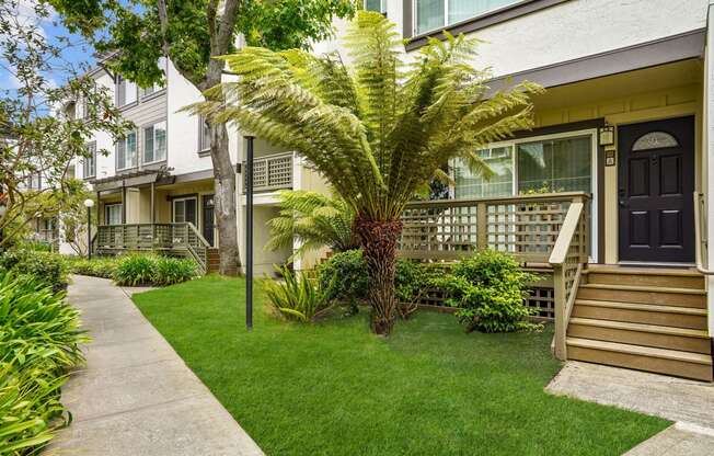 a yard with a palm tree in front of an apartment building