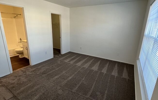 1 bed, 1 bath, 734 sqft, $1,495